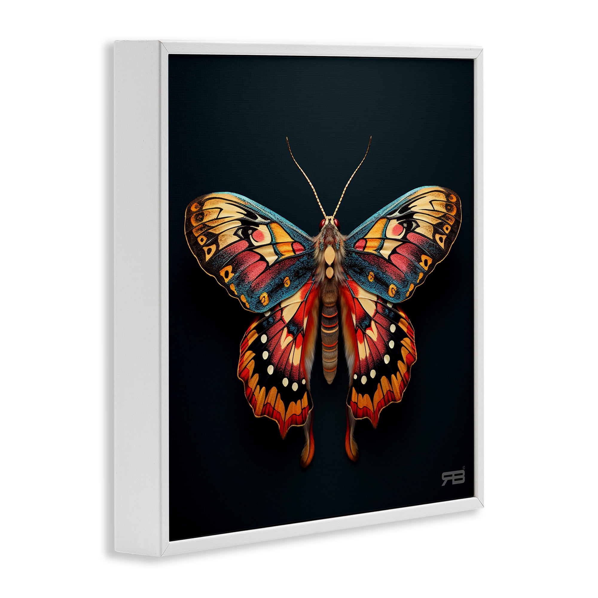 Stupell Industries Vivid Patterned Moth Animals & Insects Painting White Framed Art Print Wall Art, 12 x 12