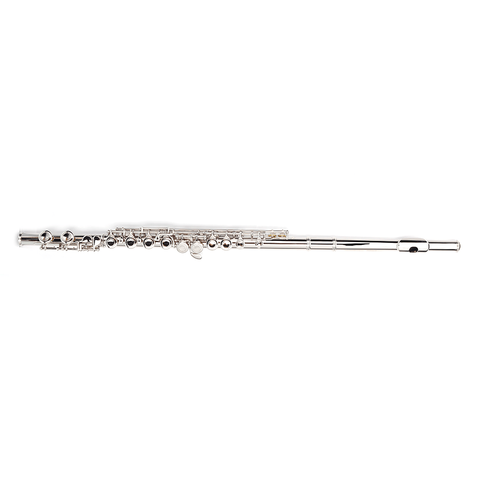 Tcbosik 16 Keys C Closed Hole Flute with E Key, Instrument for Beginner with Carrying Case, Cloth, Lubricant, Screwdriver and Cleaning Rod, Silver