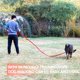thumbnail image 5 of Correa de entrenamiento de nailon para perros pequeños, medianos y grandes, correa para perros o cachorros para entrenamiento de obediencia y acampada, 5 of 5