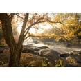 thumbnail image 2 of Connolly, Karin 24x17 White Modern Wood Framed Museum Art Print Titled - Georgia Fall, 2 of 4