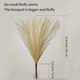 thumbnail image 5 of Faux Pampas Grass-pampas Grass Decor-artificial Pampas Grass Ramas Afortunado Sencillez, 5 of 5