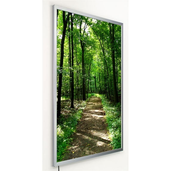Thin LED Light Box And Silver Snap Open Frame, 25.5 x 37.5 x .83-Inch, Wall Mounted, Holds 24 x 36-Inch Translucent Graphic (LPLED2436S)