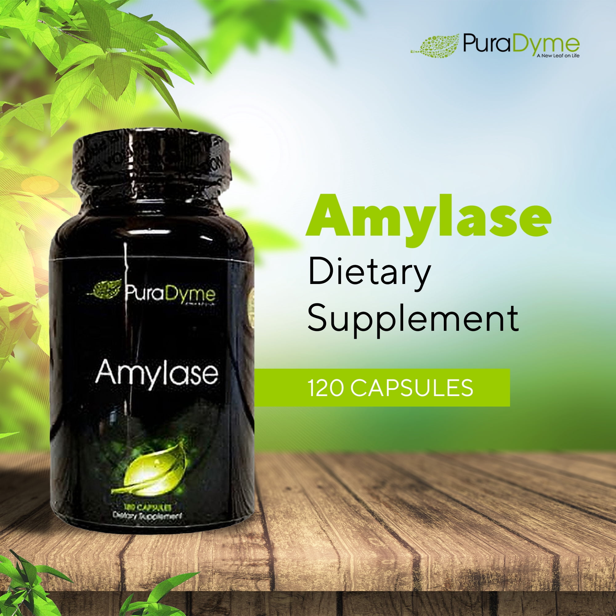 PuraDyme Amylase Digestive Enzymes, Plant-Based Supplement for Carb Digestion, Bloating Relief and Energy Support, Vegan, Gluten-Free, Non-GMO Capsules (180 Capsules)