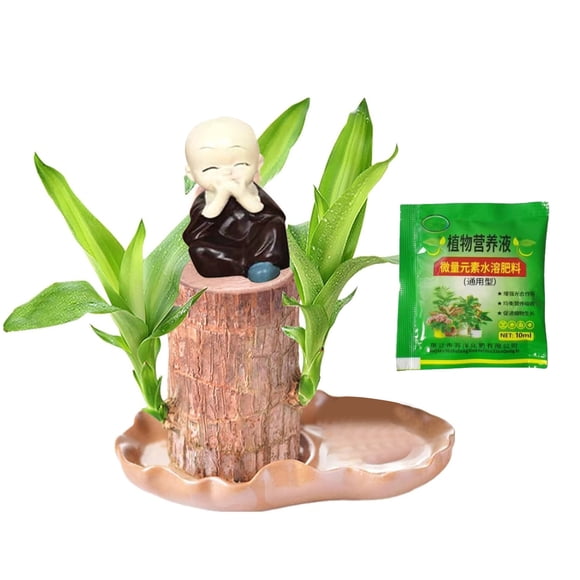 MKHSQHDG Today's Deals 10Ml Brazil Wood Hydroponic Tree Stump with 1Dolls & Tray Magical Sprouting Bonsai Mini Potted for Home Desktop Purify Indoor Air