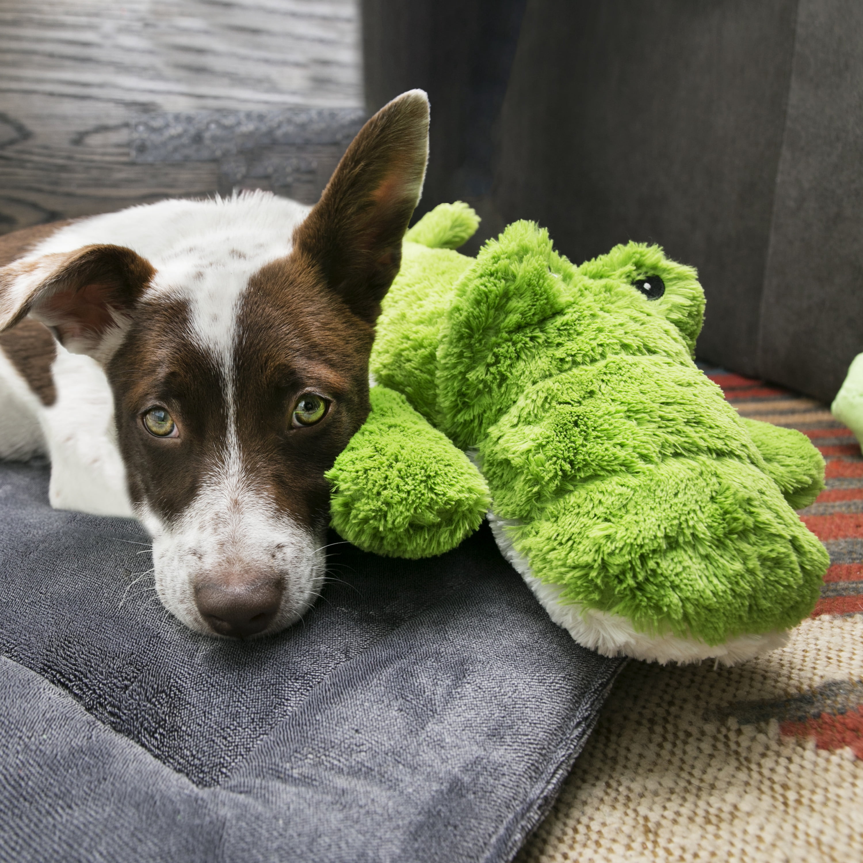 KONG® Cozie™ Plush Dog Toy with Squeaker, Ali the Alligator, Jumbo Extra Large