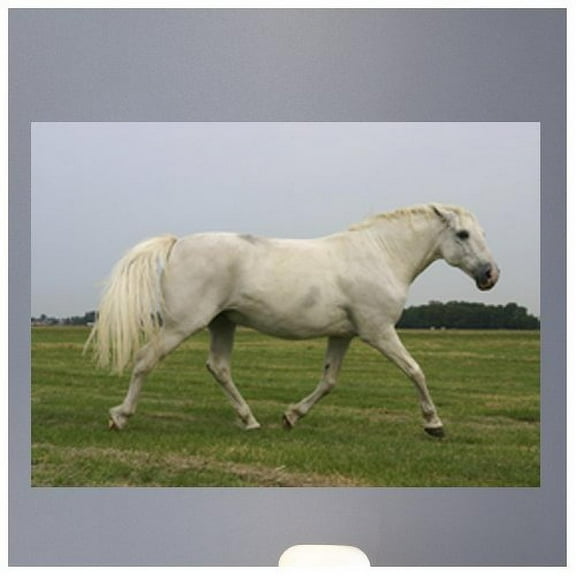 Wallhogs Horse III Glossy Wall Mural