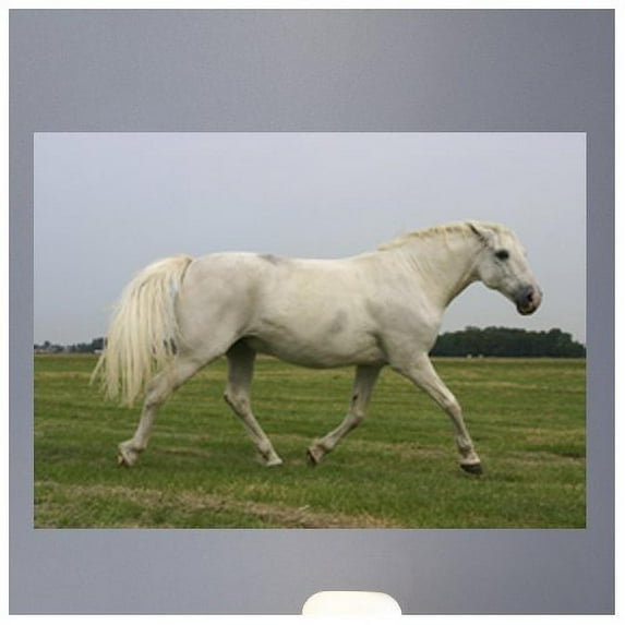 Wallhogs Horse III Glossy Wall Mural