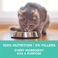 Purina ONE Sensitive Stomach, Sensitive Skin, Natural Dry Cat Food, +Plus Sensitive Skin and