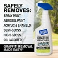 Motsenbocker's LiftOff No. 4 Spray Paint Graffiti Remover, 22 oz