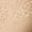 CHAMPAGNE SHIMMER/MOONLIGHT, variant on Women's Lace Desire Natural Lift Bra, Style D653
