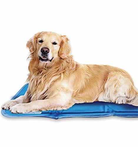 green pet cooling mat