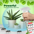 thumbnail image 3 of Mighty Mint Indoor Ant & Cockroach Killer Spray, 16 fl oz, 3 of 7