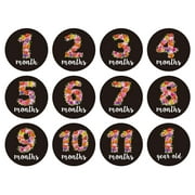 12 PCS Baby Diary Keepsakes Baby's Messary Photo Months for The Wooden Girl Newborn