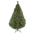 thumbnail image 1 of Árbol de Navidad Naviplastic California color Verde de 220 cm con 512 luces led cálidas, 1 of 3