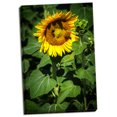 thumbnail image 1 of Gango Home Decor Contemporary A Summer Flower I by Alan Hausenflock (Ready to Hang); One 24x36in Hand-Stretched Canvas, 1 of 4