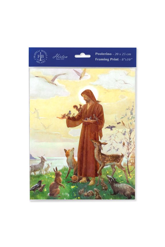 St. Francis Framing Print Wall Art Dcor, Medium, Set of 3 prints