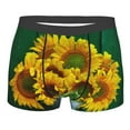 thumbnail image 4 of Goofa Sunflowers in Bucket Printed Men's Boxer Briefs Underwear, Moisture-Wicking Underwear, Trunk,Soft and Breathable Cotton Underwear-Large, 4 of 9