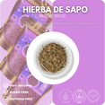 thumbnail image 5 of Green Royalty Hierba de Sapo Tea – Mexican Thistle Herbal Infusion, Dried Cut Herb for Daily Wellness, 4 oz, 5 of 5