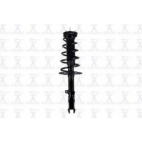 Suspension Strut and Coil Spring Assembly