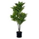 thumbnail image 1 of Árbol artificial Vickerman FTL251736 Alocasia Zebrina 91 cm, 1 of 1