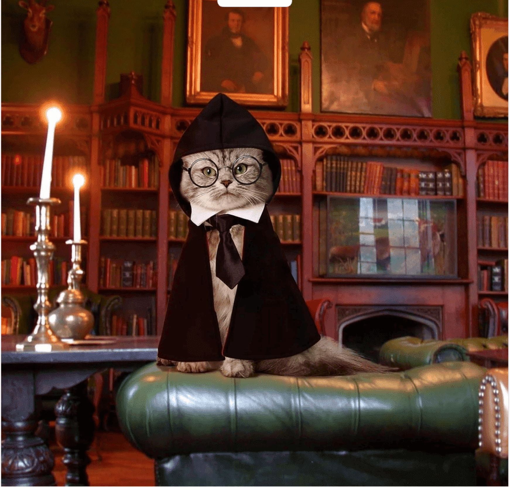 Cat Halloween Costume, Pet Wizard Costumes Mantle Magician Cosplay Clothes with Bowtie & Glasses Set, Festival Party Apparel for Small Pets Cats Dogs