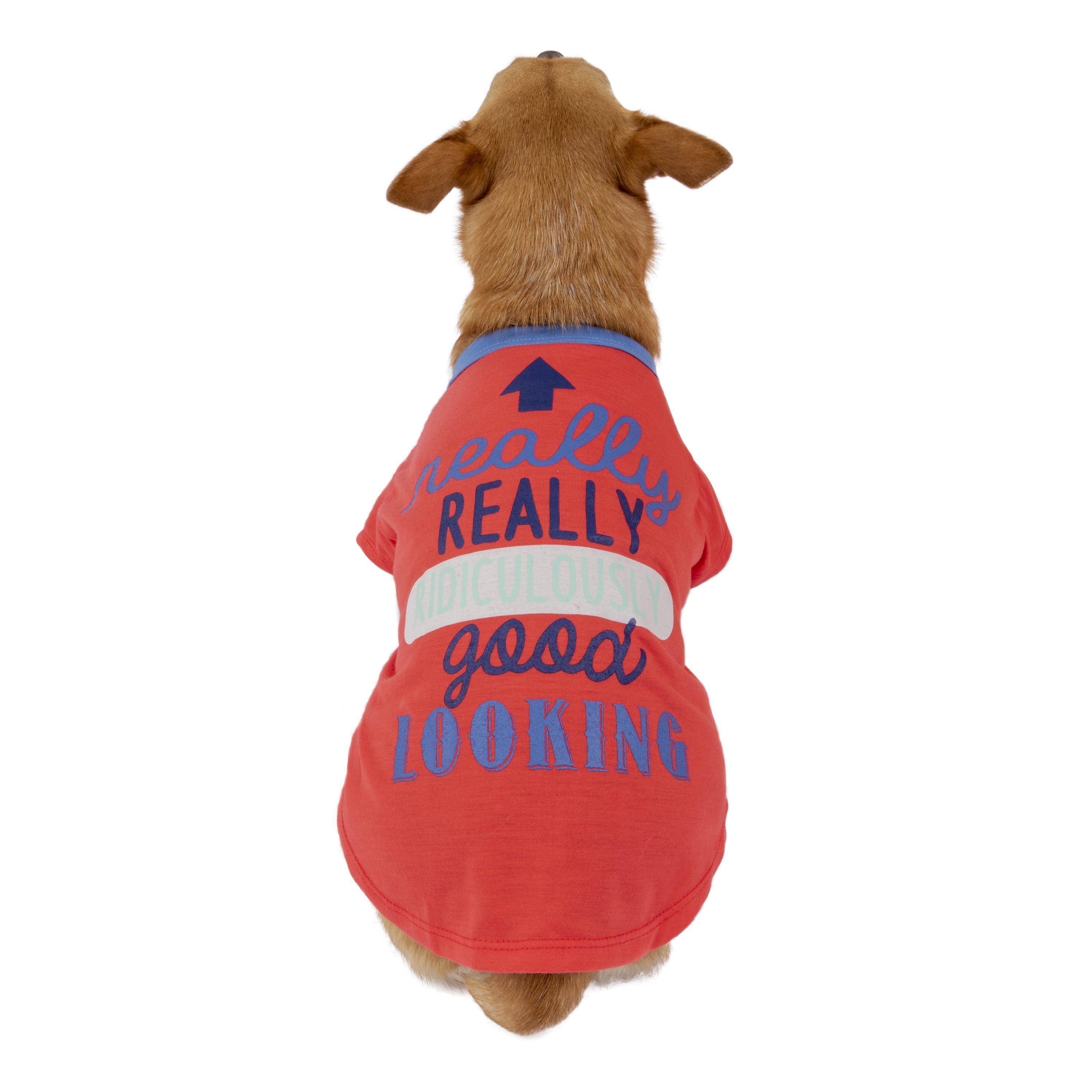 Vibrant life dog clothes Clearance