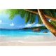 thumbnail image 3 of Cuadros en lienzo con paisajes de playa y vistas al mar, imágenes de árboles de coco, palmeras tropicales, pósteres de arte de pared para decoración del hogar, 3 of 5