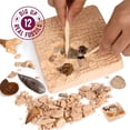 thumbnail image 2 of Kit de excavación Fossil Dan&Darci Mega Science para niños de 8 a 12 años con guía, 2 of 7