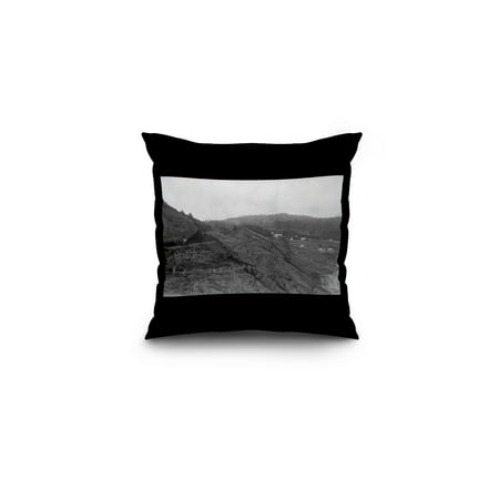 Newport, Oregon Scene at Agate Beach Photograph (16x16 Spun Polyester Pillow, Black (Best Agate Beaches In Oregon)
