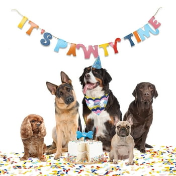 Packed Party 'It's a Pup Party' Celebrations Kit