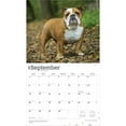 thumbnail image 4 of For the Love of Bulldogs | 2026 14x24" (Hanging) Wall Calendar | Plastic-Free, 4 of 9