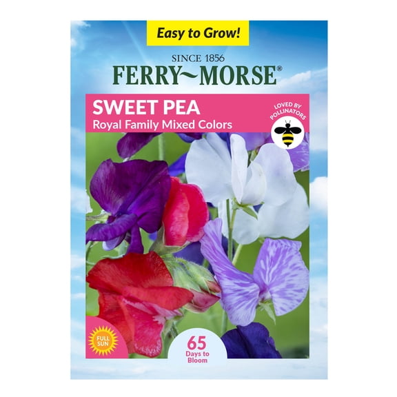 Ferry-Morse 1.7G Sweet Pea Royal Family Mixed Colors Annual Flower Seeds, Full Sun