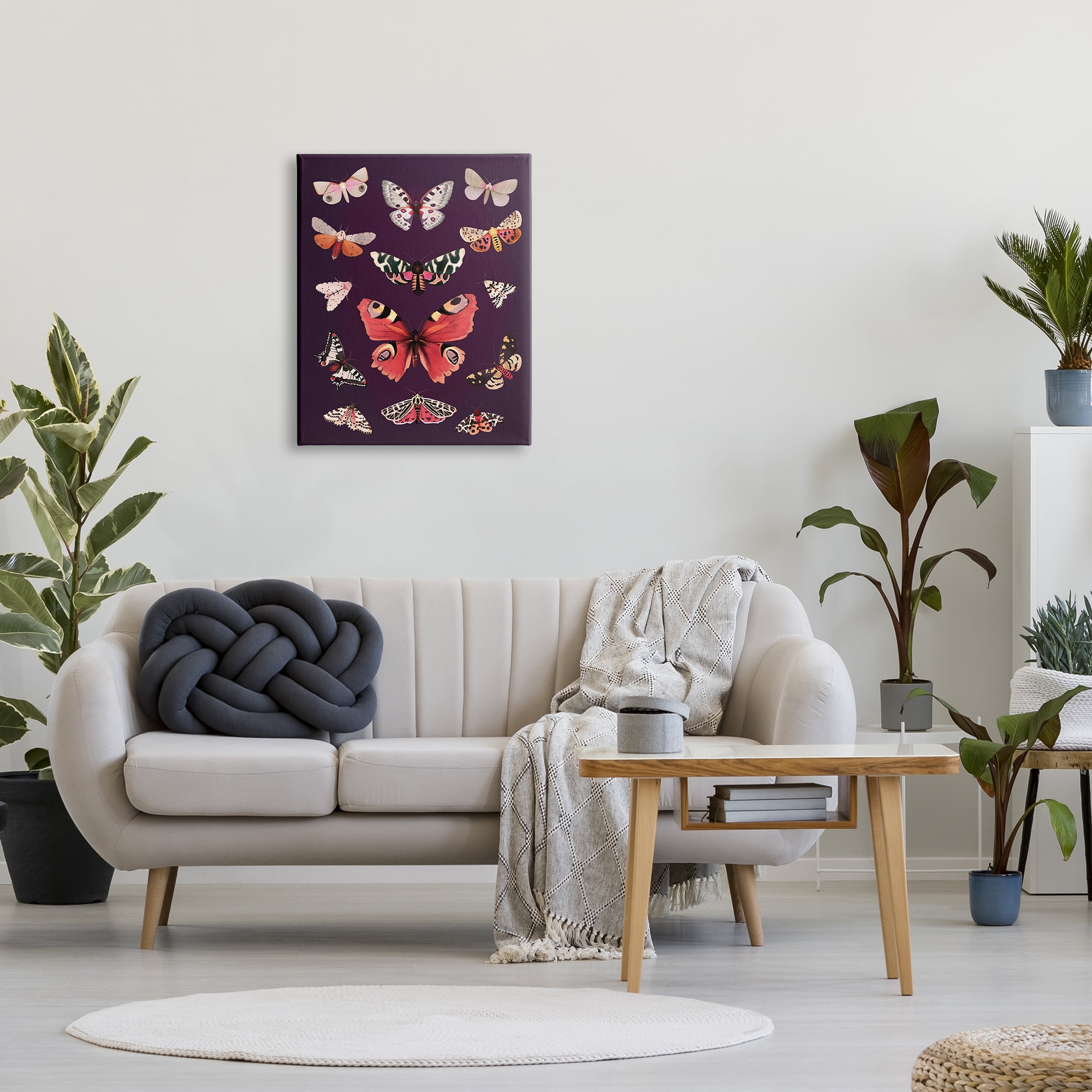 Stupell Industries Vintage Wildlife Moths Animals & Insects Painting Gallery Wrapped Canvas Print Wall Art, 24 x 30