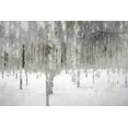 thumbnail image 2 of Curinga, Kim 18x13 White Modern Wood Framed Museum Art Print Titled - Birches In Fog, 2 of 4
