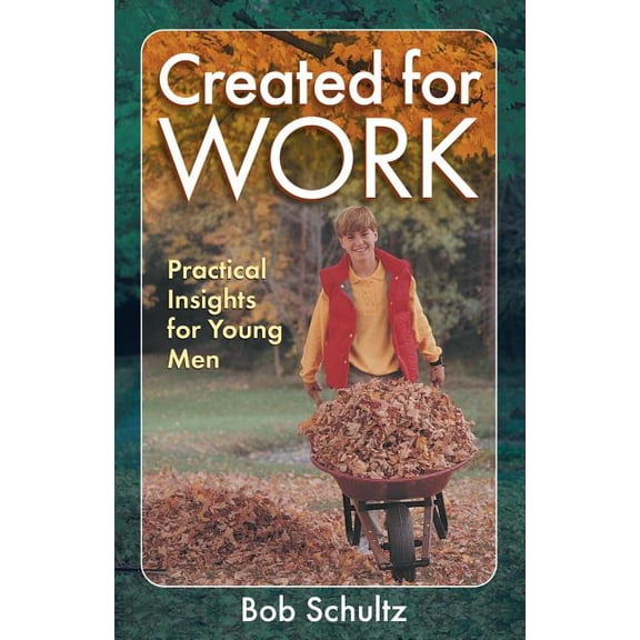 Created for Work: Practical Insights for Young Men (Paperback)