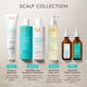 thumbnail image 5 of Acondicionador equilibrante del cuero cabelludo Moroccanoil Mini 70 ml, 5 of 6