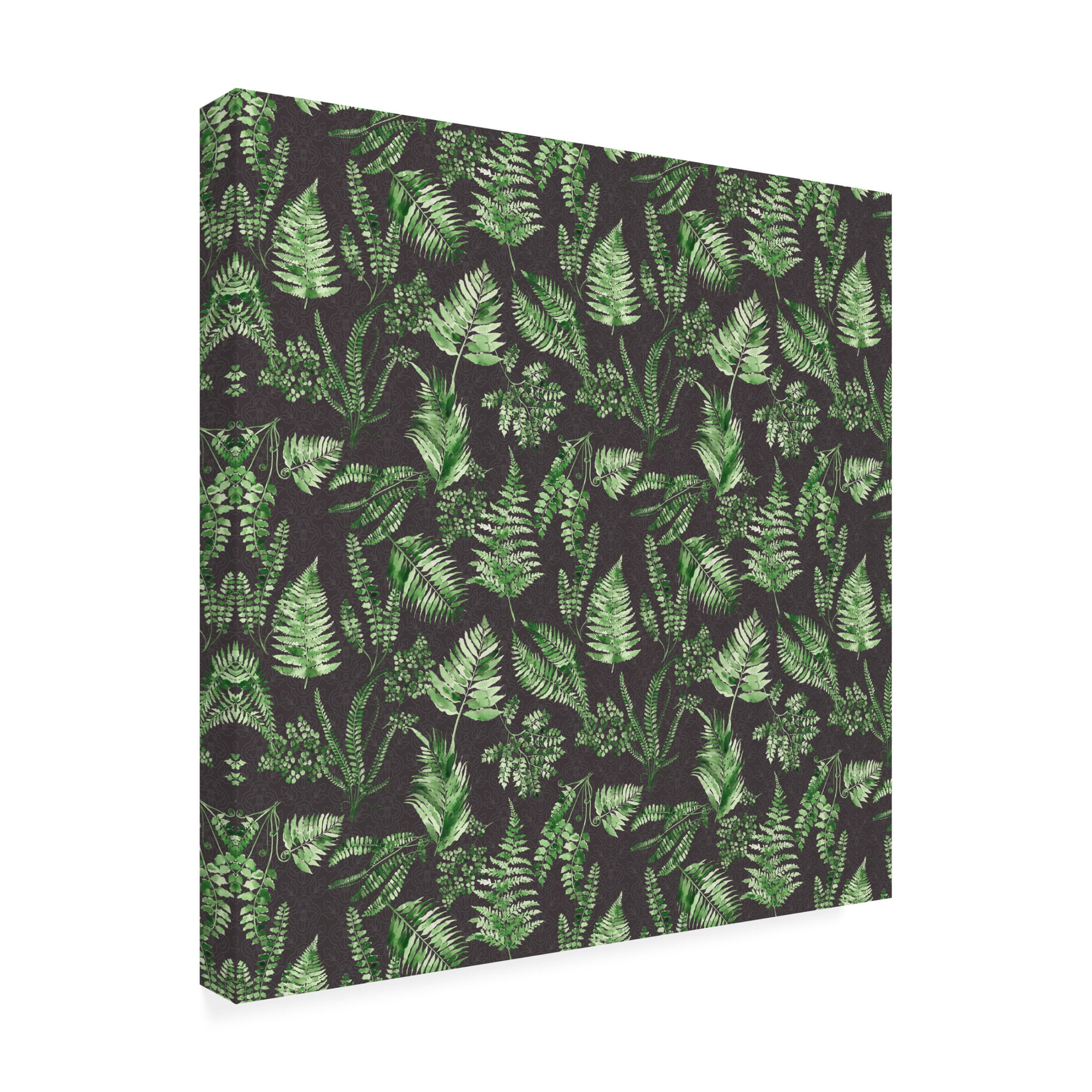 Canvas Wall Art - Jean Plout 'Green Botanical Pattern' Wall Art for Living Room, Bedroom, or Office Décor by Trademark Fine Art - 14 x 14 Inches
