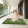 thumbnail image 3 of Tapis d'Entraînement Réutilisables pour Animaux avec Motifs Réalistes pour la Maison et l'Intérieur et l'Extérieur, 3 of 5