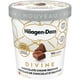 Crème glacée HÄAGEN-DAZS Divine Morceaux de chocolat et brownies, 475 ml – image 1 sur 9