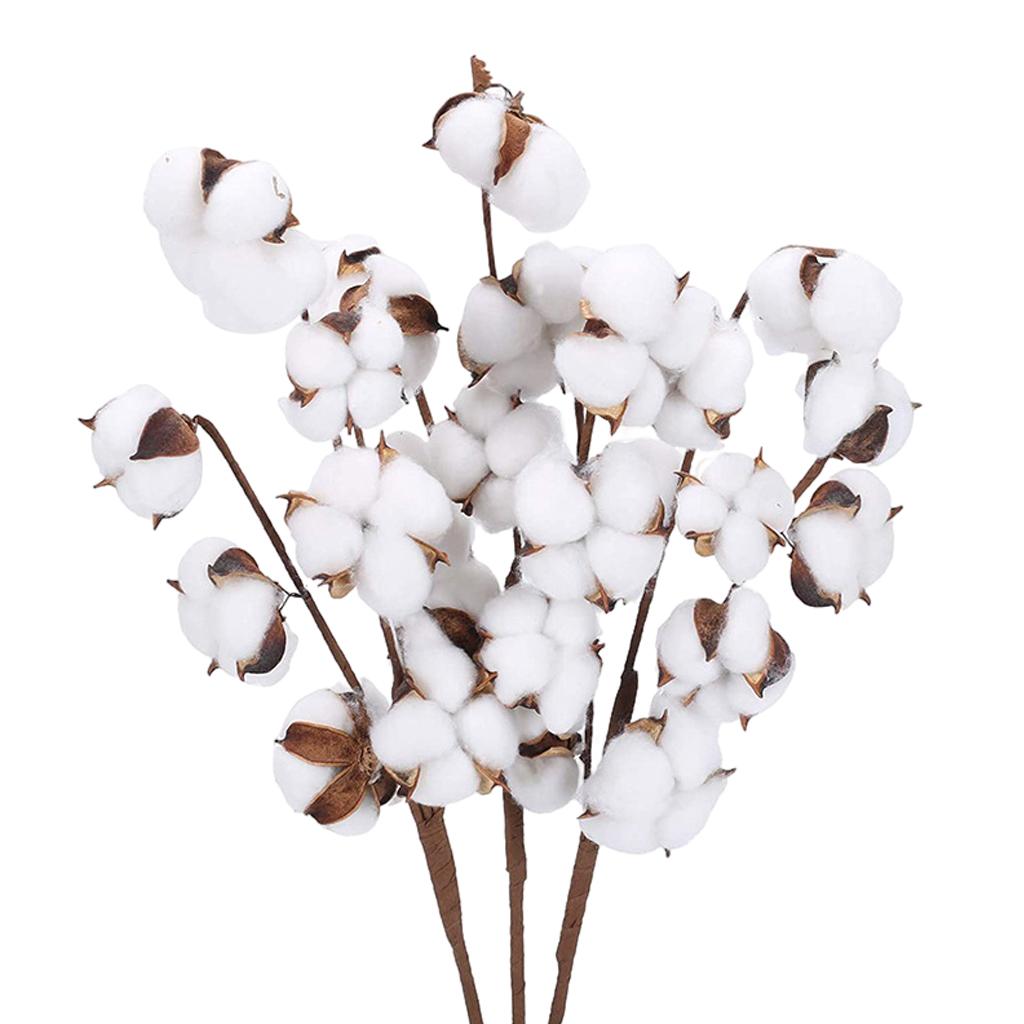 Axioma tishita 40cm Natural Dried Cotton Artificial Flower Floral Arrangement Fillers 7 Bolls 6pcs