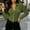 Army Green, variant on Long Sleeve Women's Shirts Slimming Work Fall Cotton Linen Ladies Blouse Utility Casual Plain Collared Tops Blue M