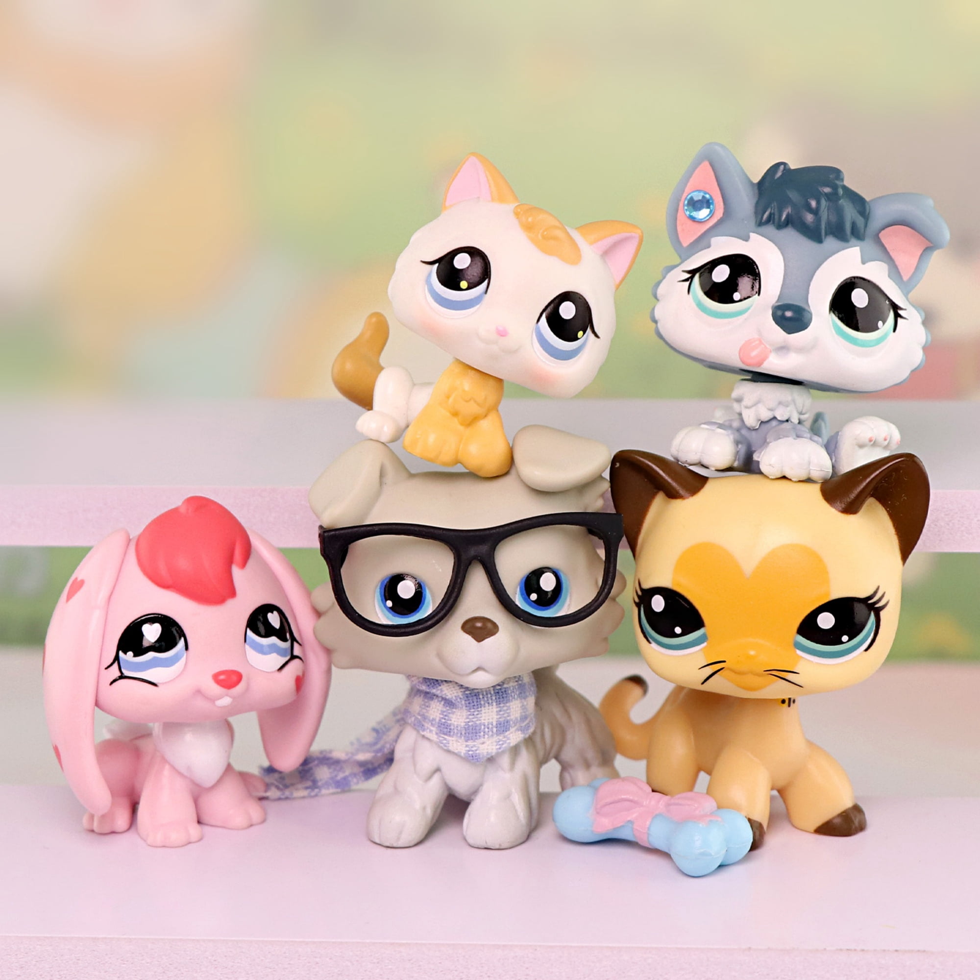 5pcs Mini Pet Toys Bunny Rabbit Collie Short Hair Cat Husky Puppy Kitten Cat with Accessories