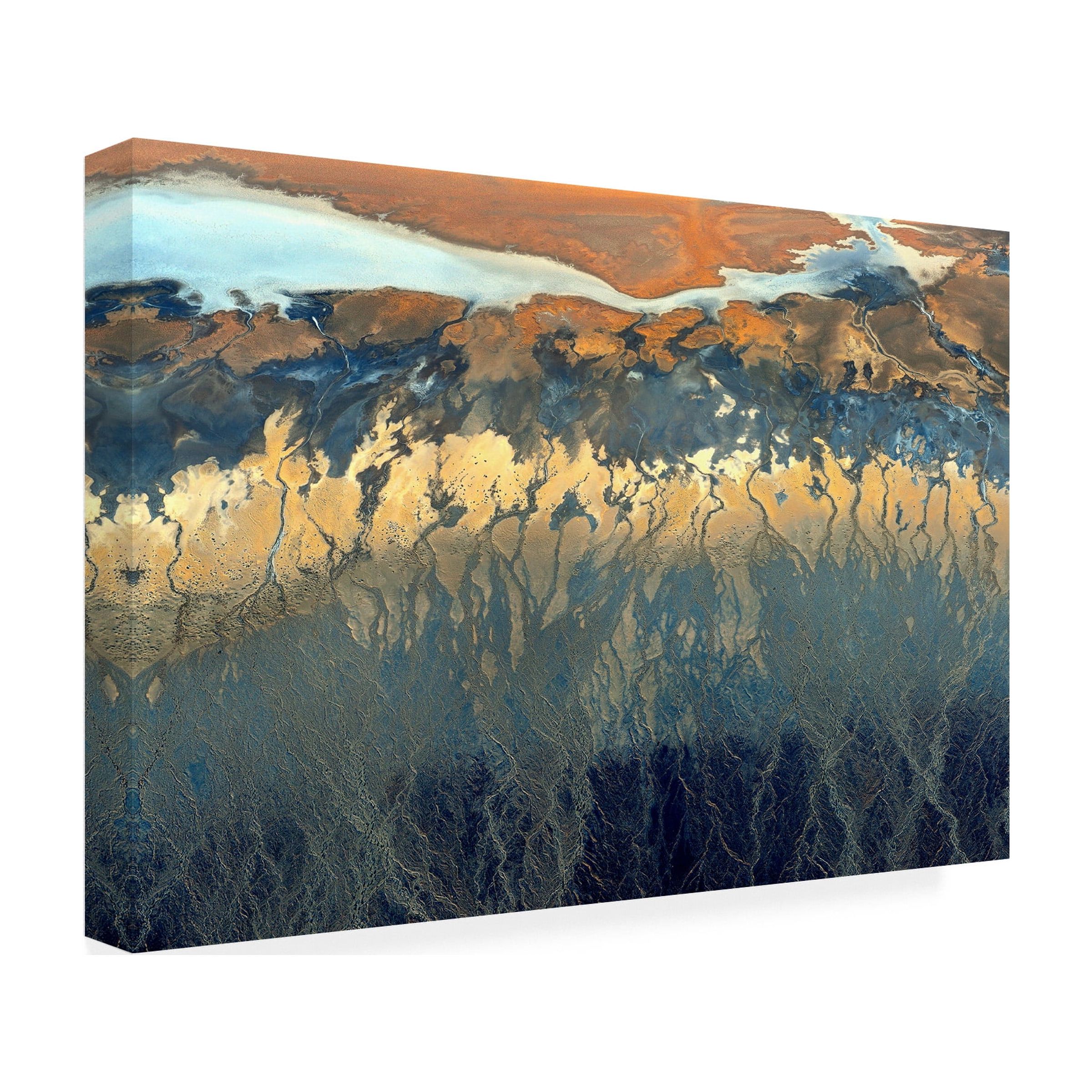 Tanja Ghirardini 'California Aerial' Canvas Art