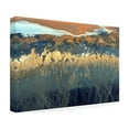 thumbnail image 4 of Tanja Ghirardini 'California Aerial' Canvas Art, 4 of 4