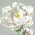 thumbnail image 3 of Swatland, Sally 20x20 Black Modern Framed Museum Art Print Titled - Peony Detail II, 3 of 5