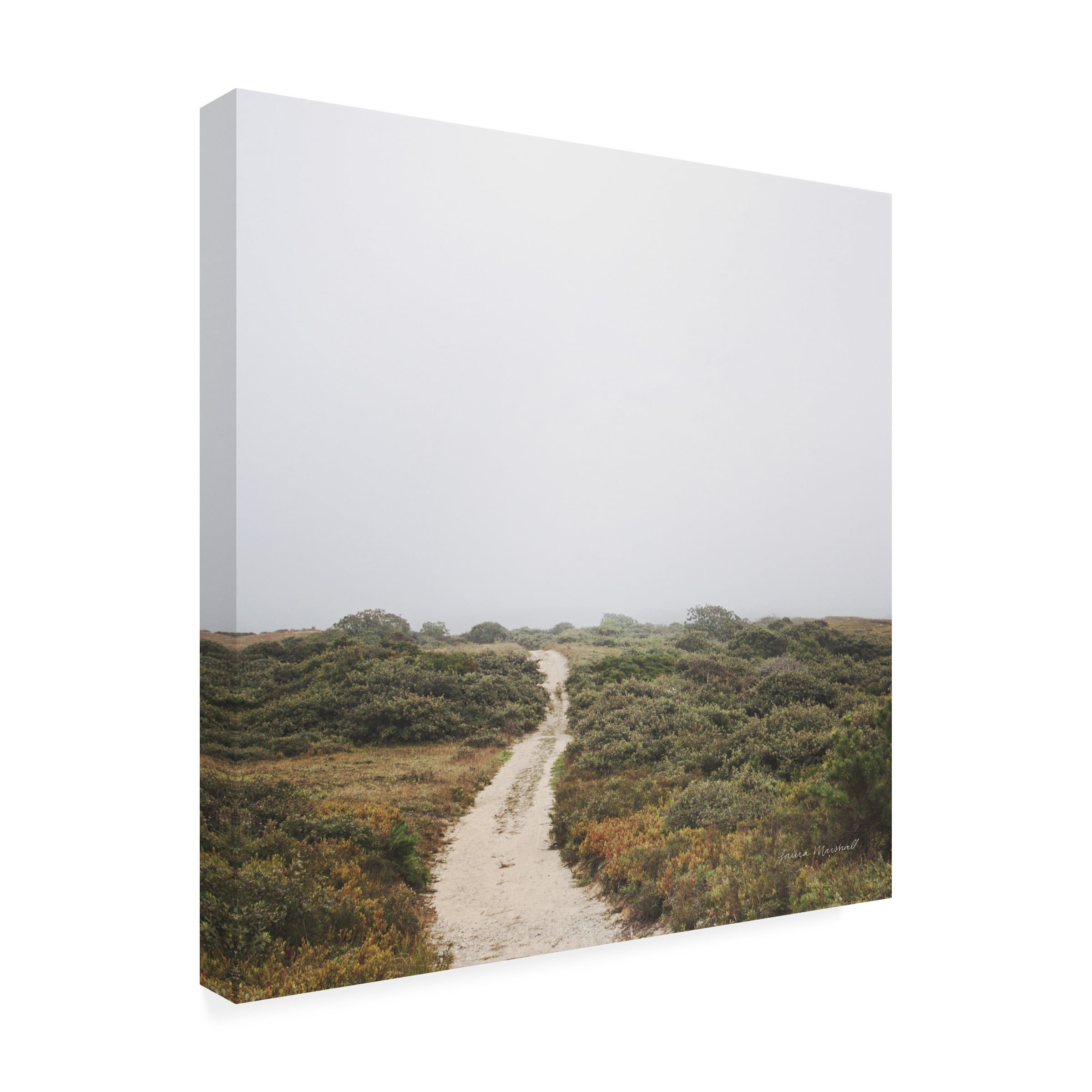 Laura Marshall 'Off the Beaten Path' Canvas Art