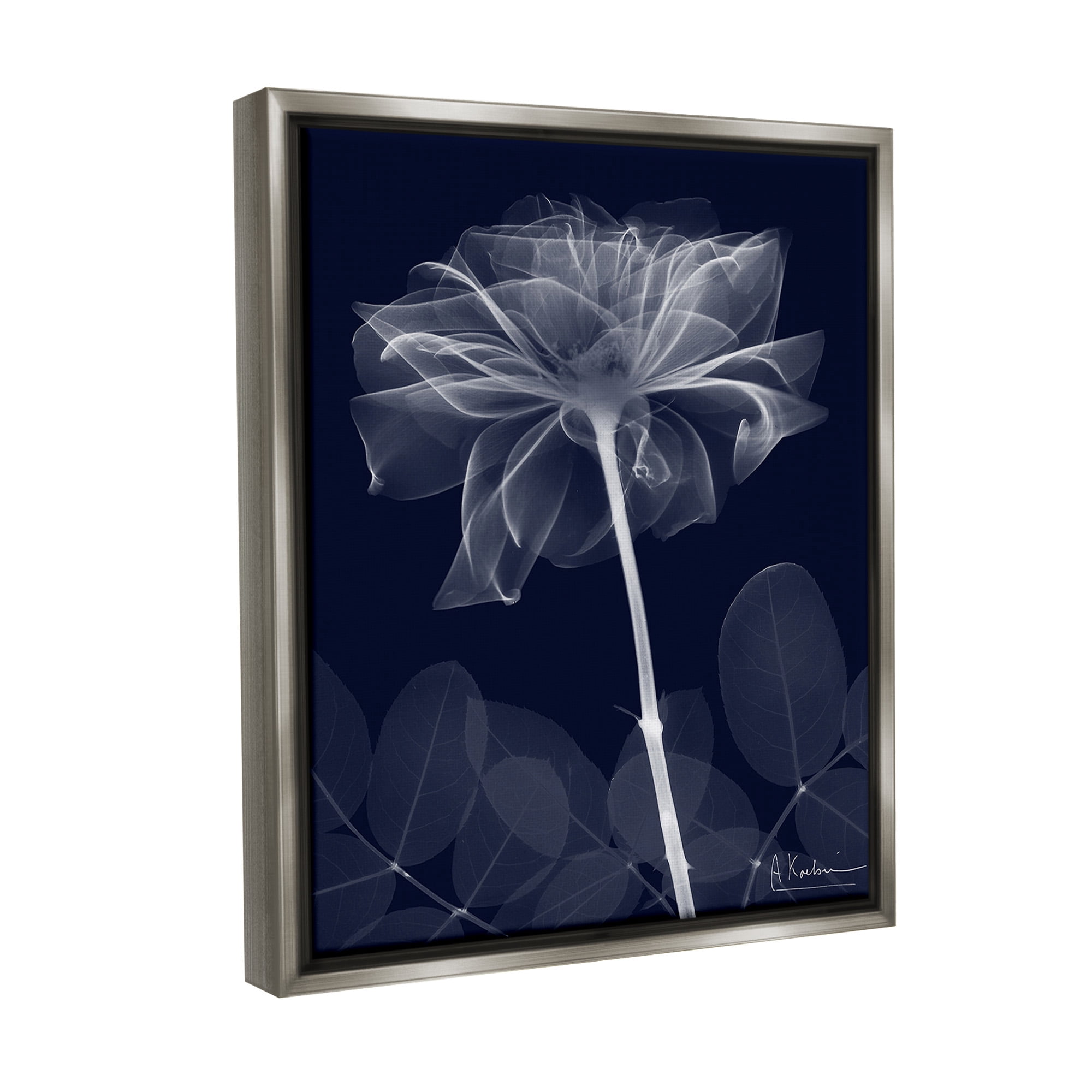 Stupell Industries Dark Flower Shape Botanical & Floral Photography Gray Floater Framed Canvas Art Print Wall Art, 17 x 21