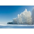 thumbnail image 2 of ABPHOTO 7x5t Photography Backdrop Snow Covered Landscape Trees Wooden Fence Sunshine Nature Winter Scene Blue Sky Merry Christmas Photo Background Backdrops, 2 of 4