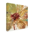 thumbnail image 2 of Trademark Fine Art 'Floral Splash I' Canvas Art by Tim OToole, 2 of 4
