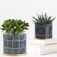 thumbnail image 5 of Olly & Rose Designer Black Plant Pots Set 2 with Gold Saucers Ceramic Planters Indoor Outdoor, 5 of 6
